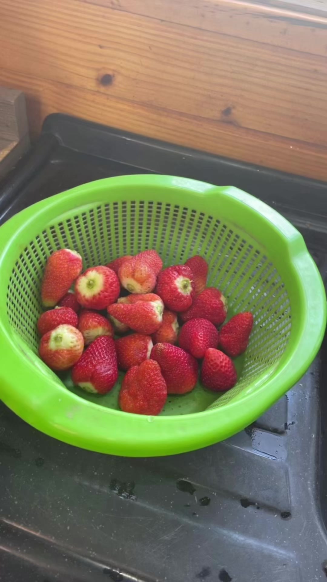 @eu_caaroline🍅
