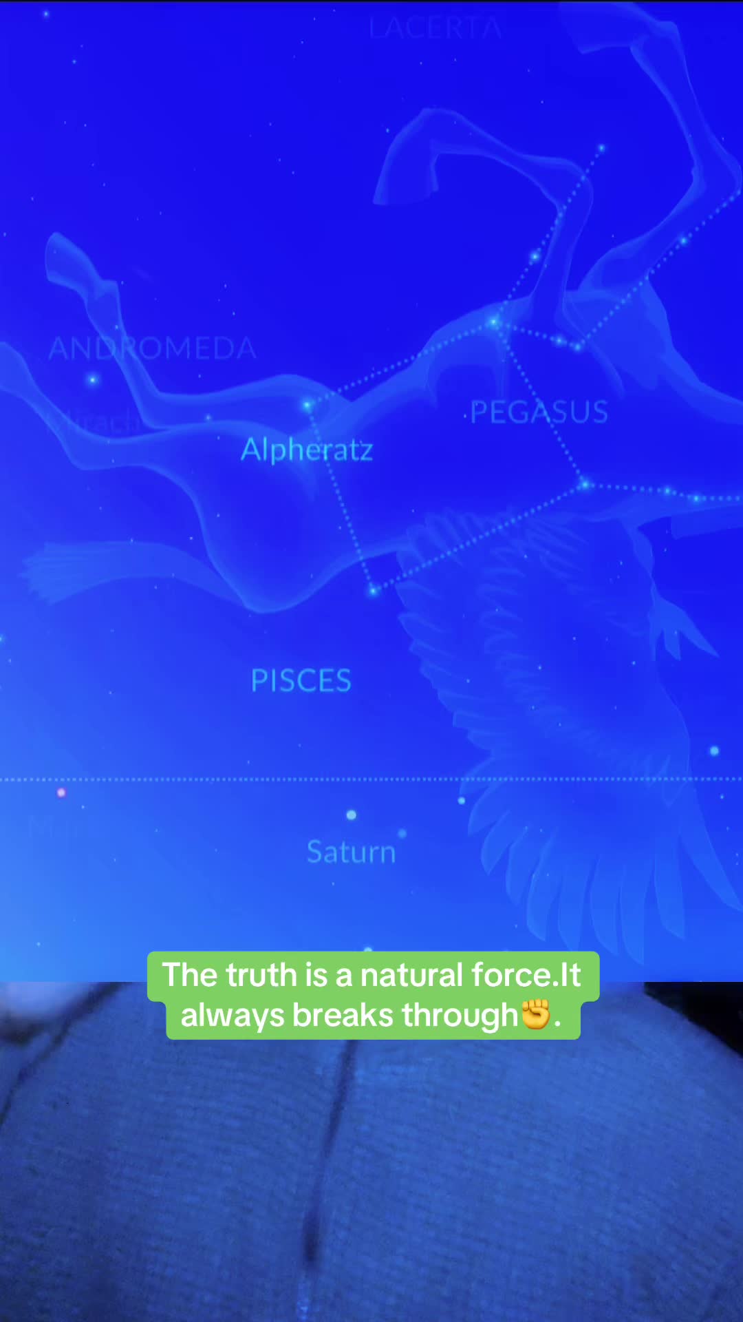 @MARK👁️