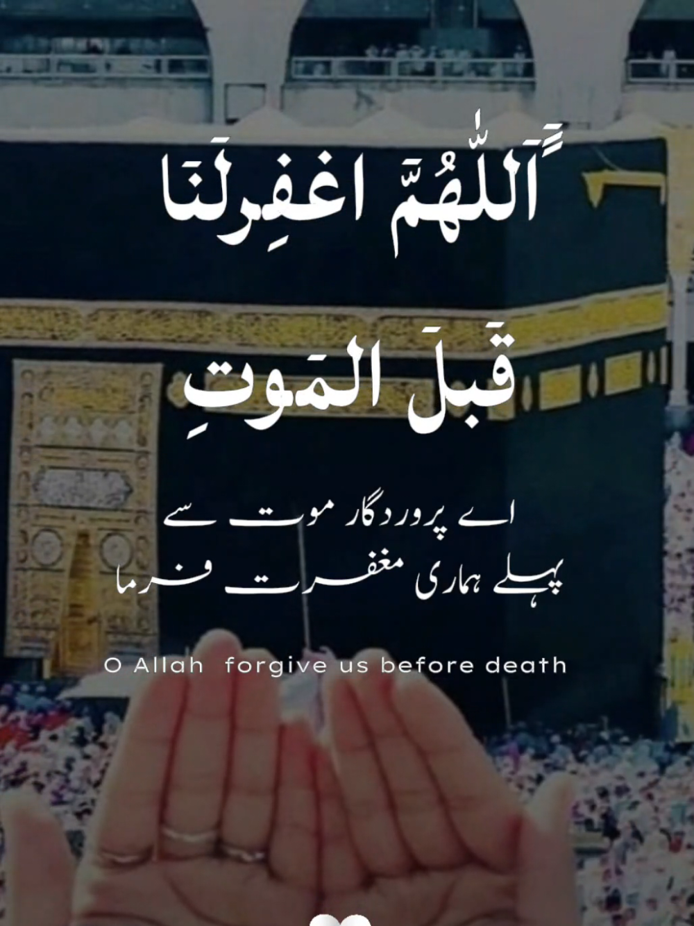 @Muslim girl