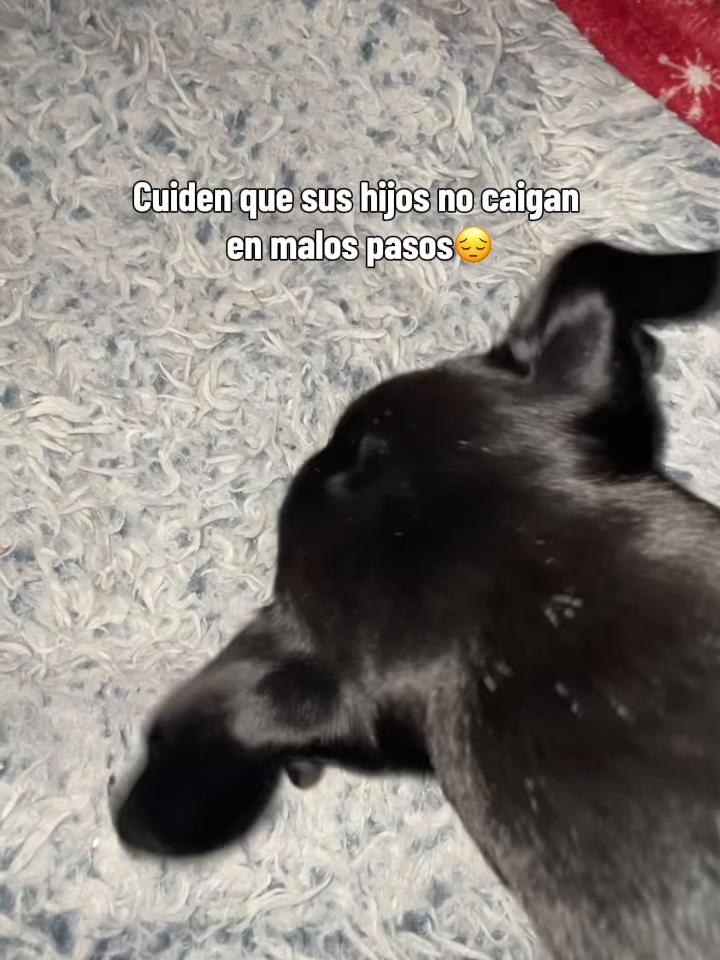 @Daniela Lisbeth Burgos