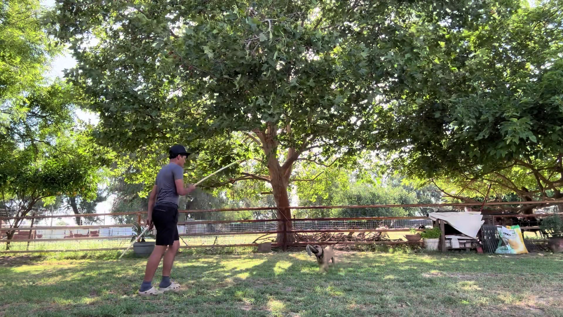@Rancho_Ramirez209