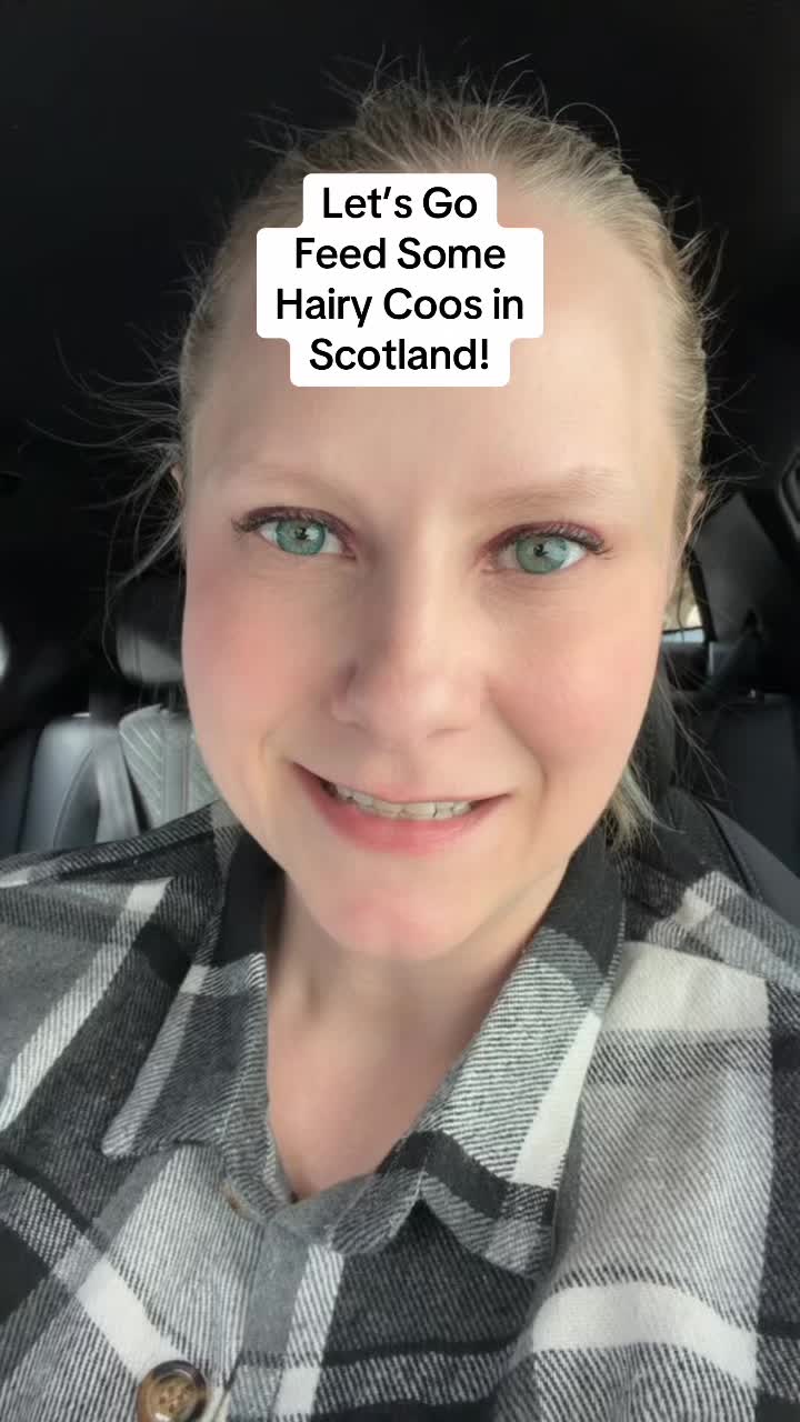 @thedestinationdamsel