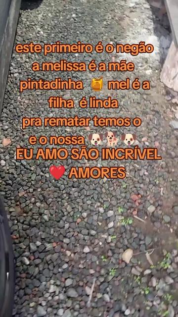 @iolanda Rodrigues kuster