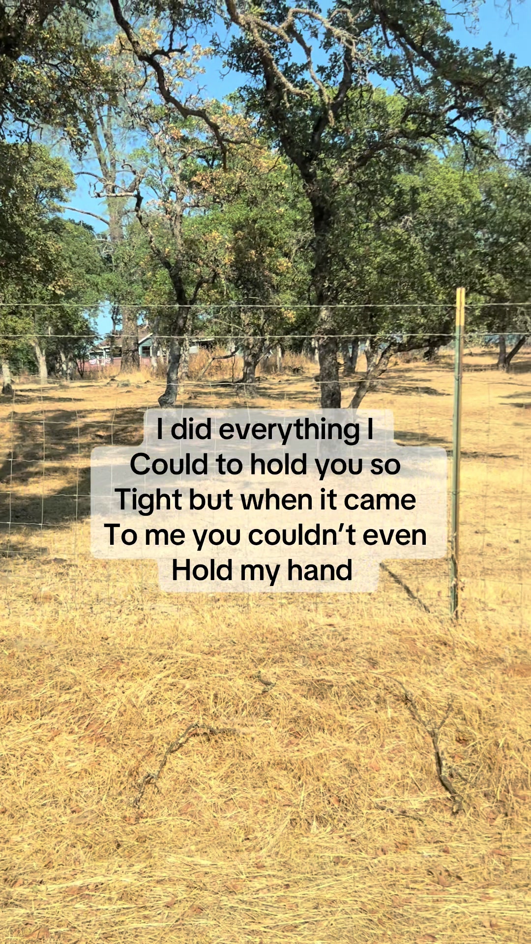 @BoundariesofmyHeart