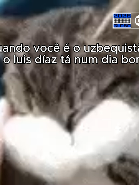 @TV Globo