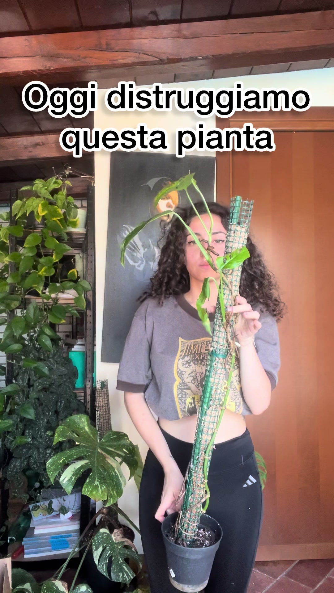 @Margherita Savasta