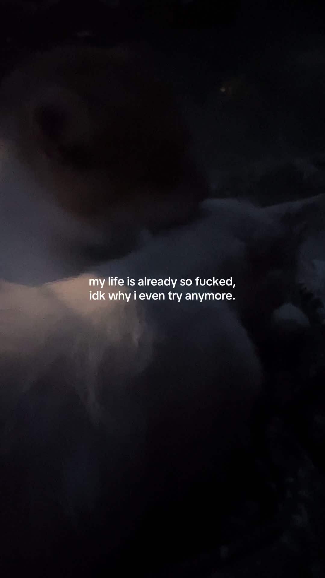 @vince