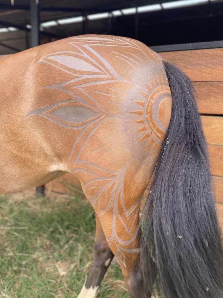 @💈🐴Huelgam_ty