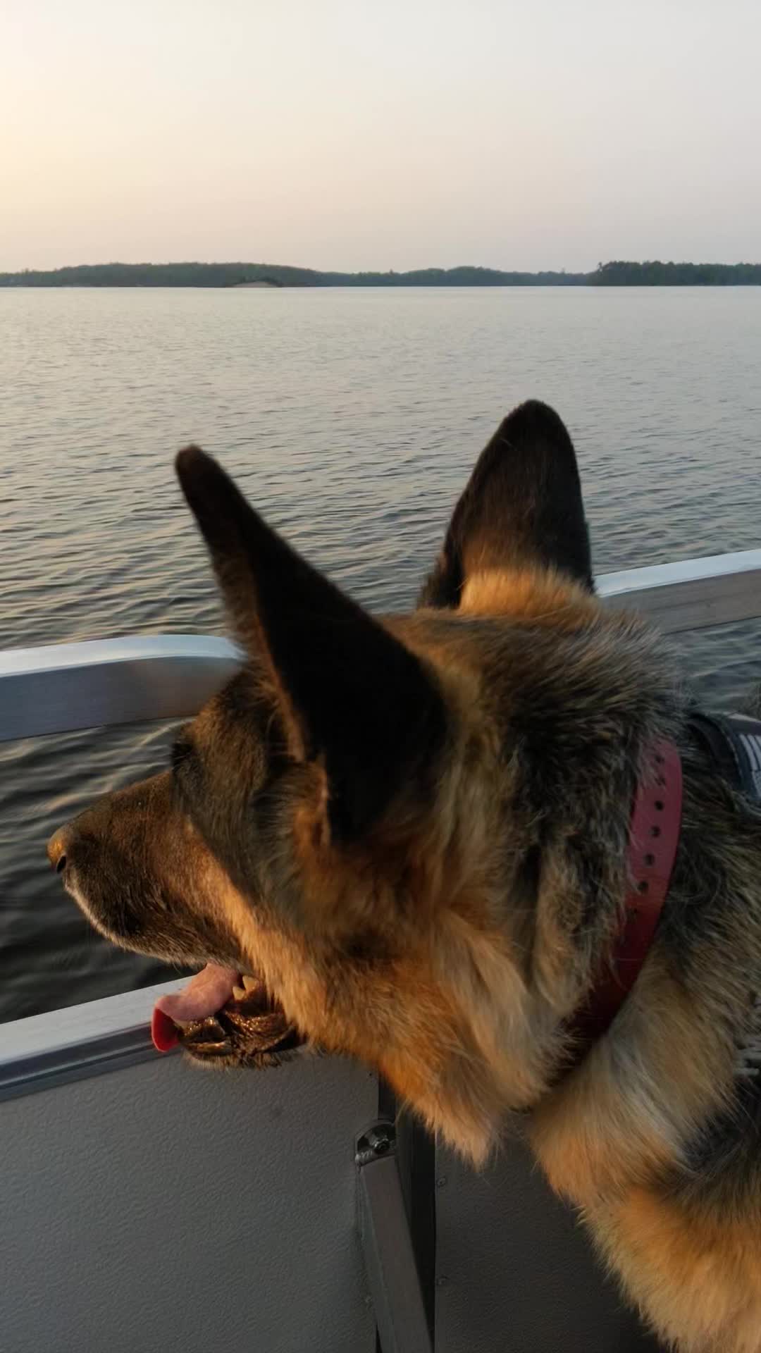 @Kolt - GSD