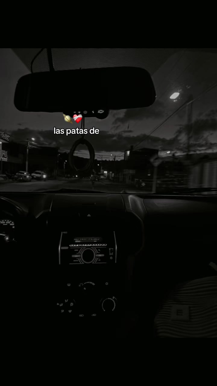@daniela503.11