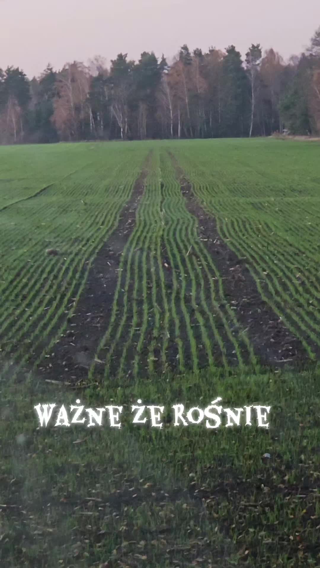 @Emil Puhacewicz