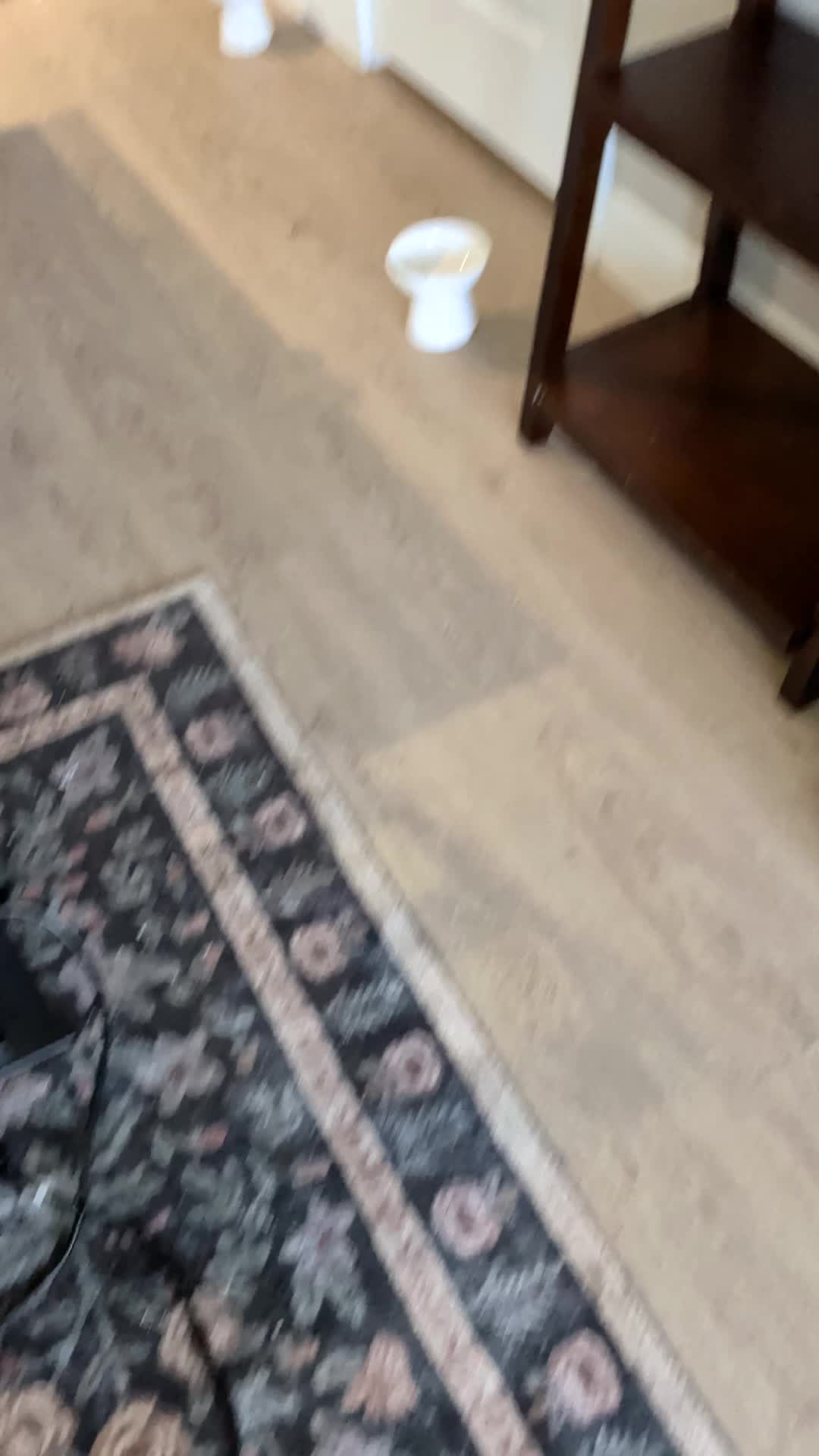 @Spice_Gurls