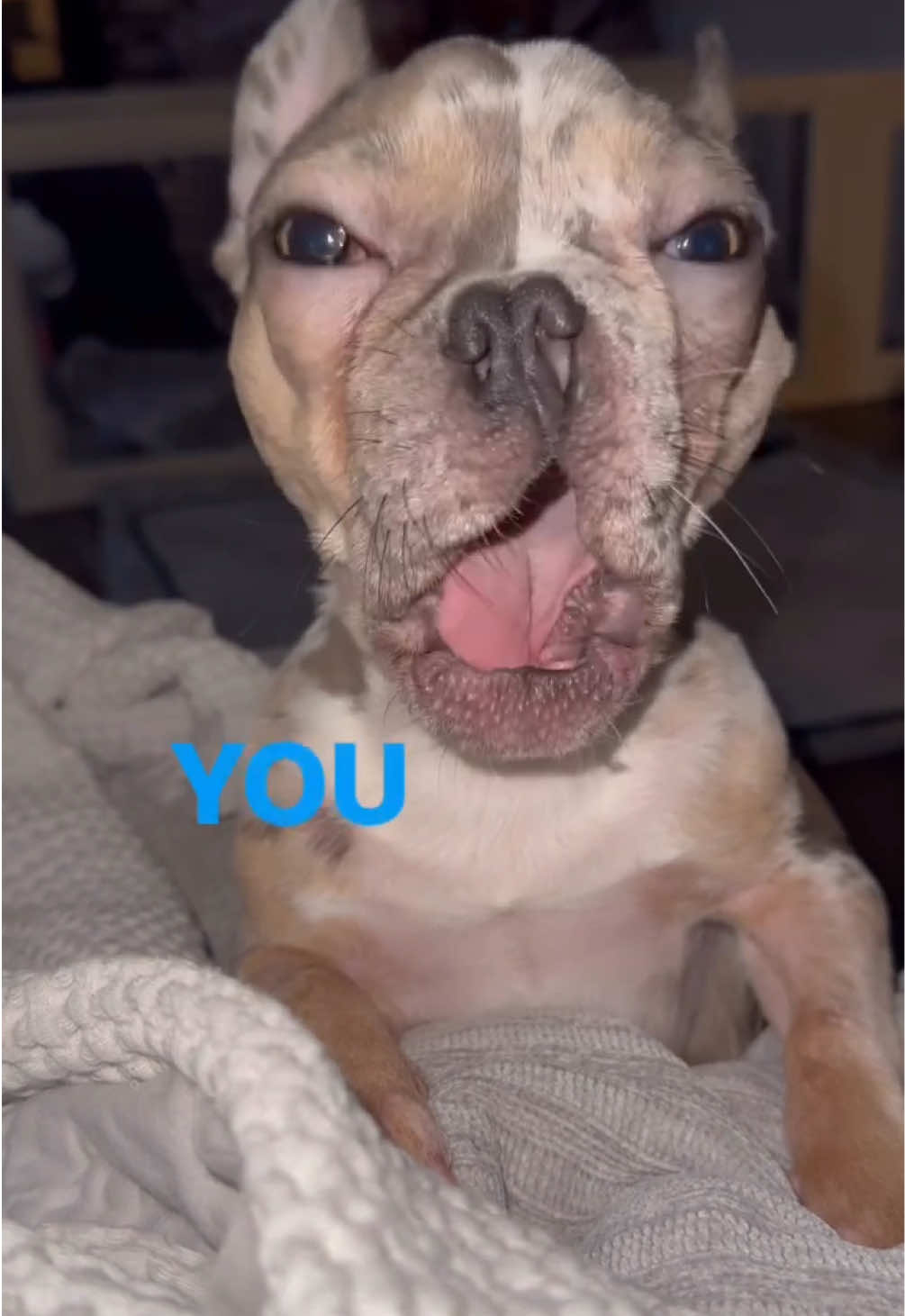 @Big Marv