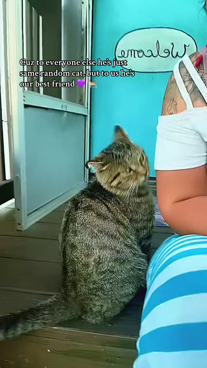 @RosaMae ౨ৎ
