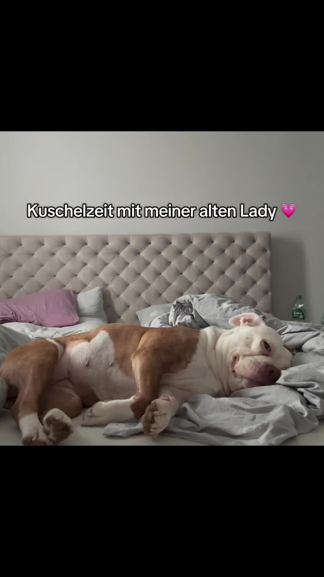 @Yazzman03
