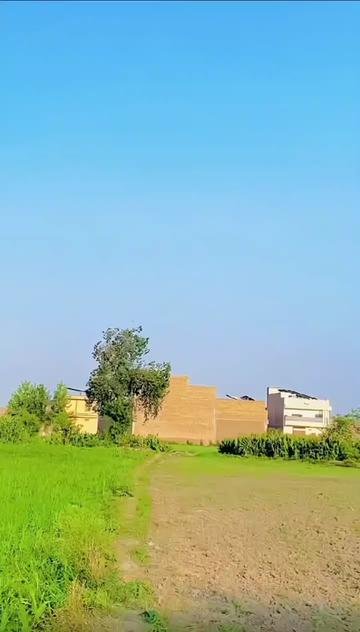 @M🦅A