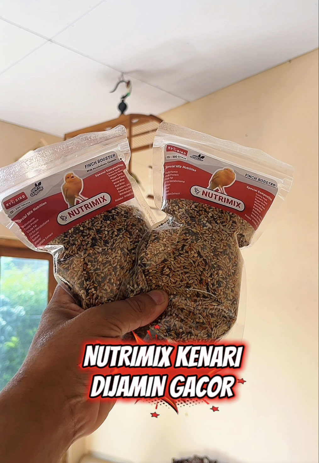 @KICAUNESIA ONLINE