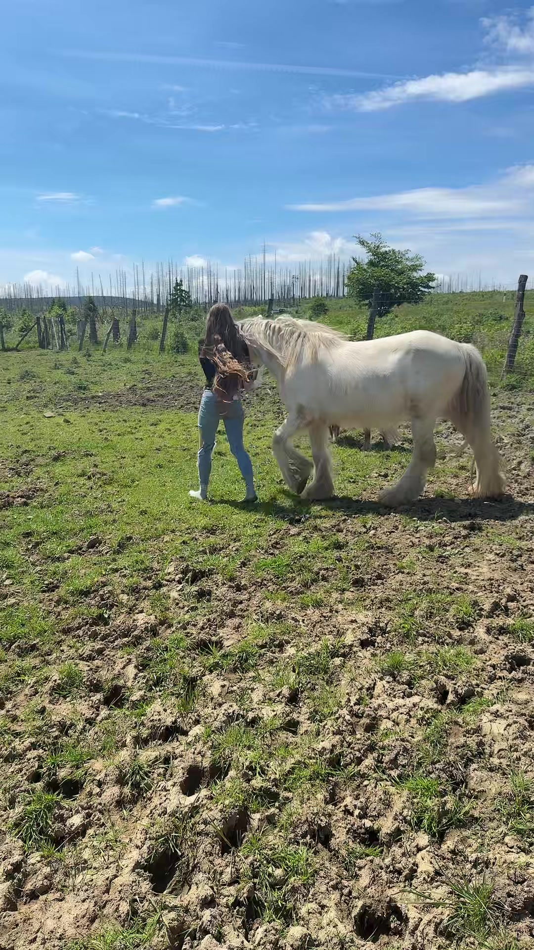 @HafiHorse2