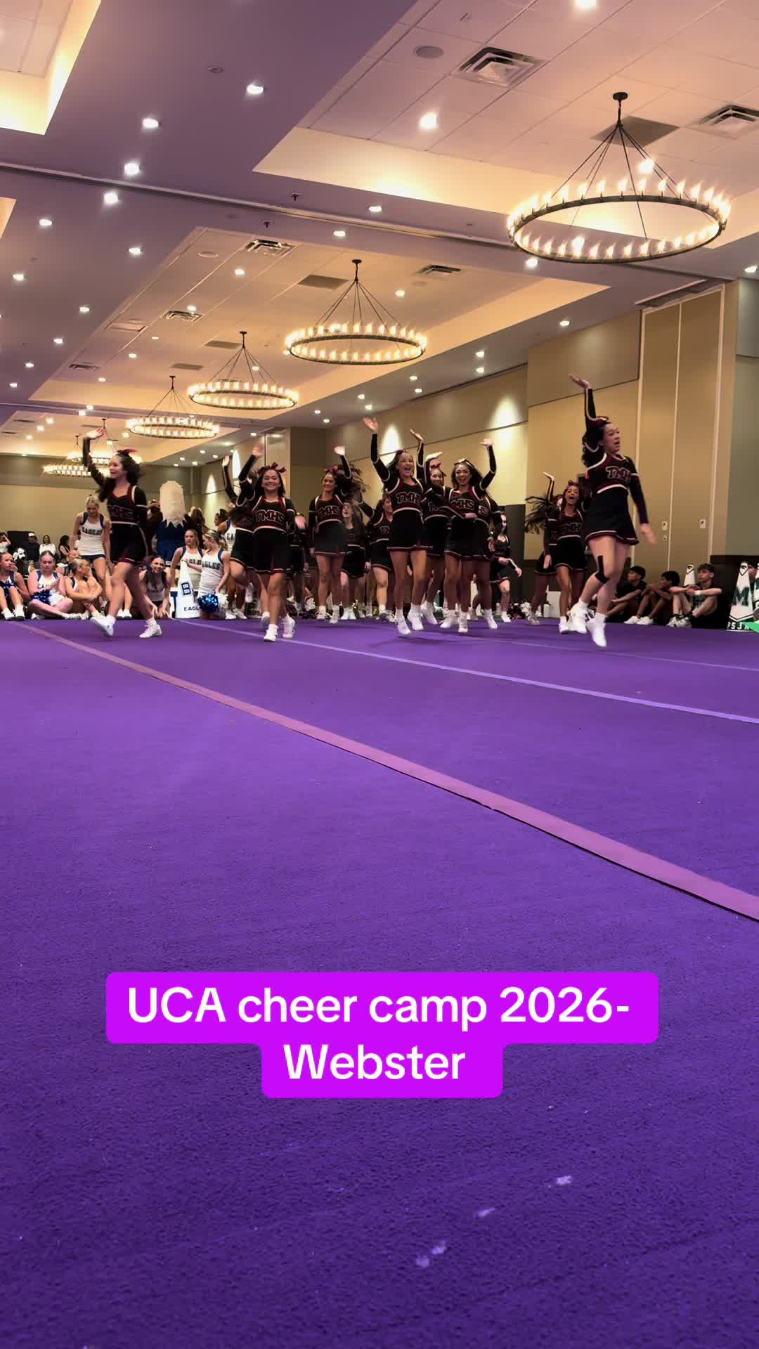 @bling queen of cc