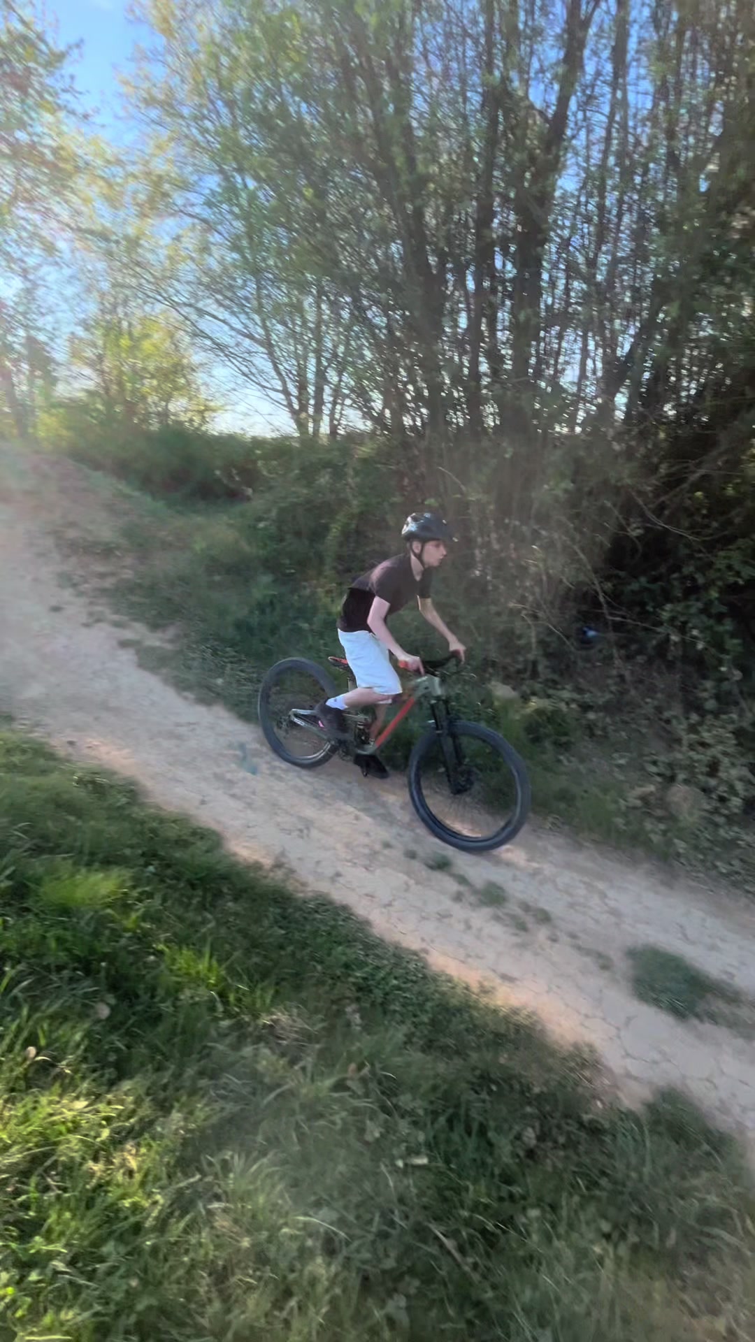 @william.mci🌲
