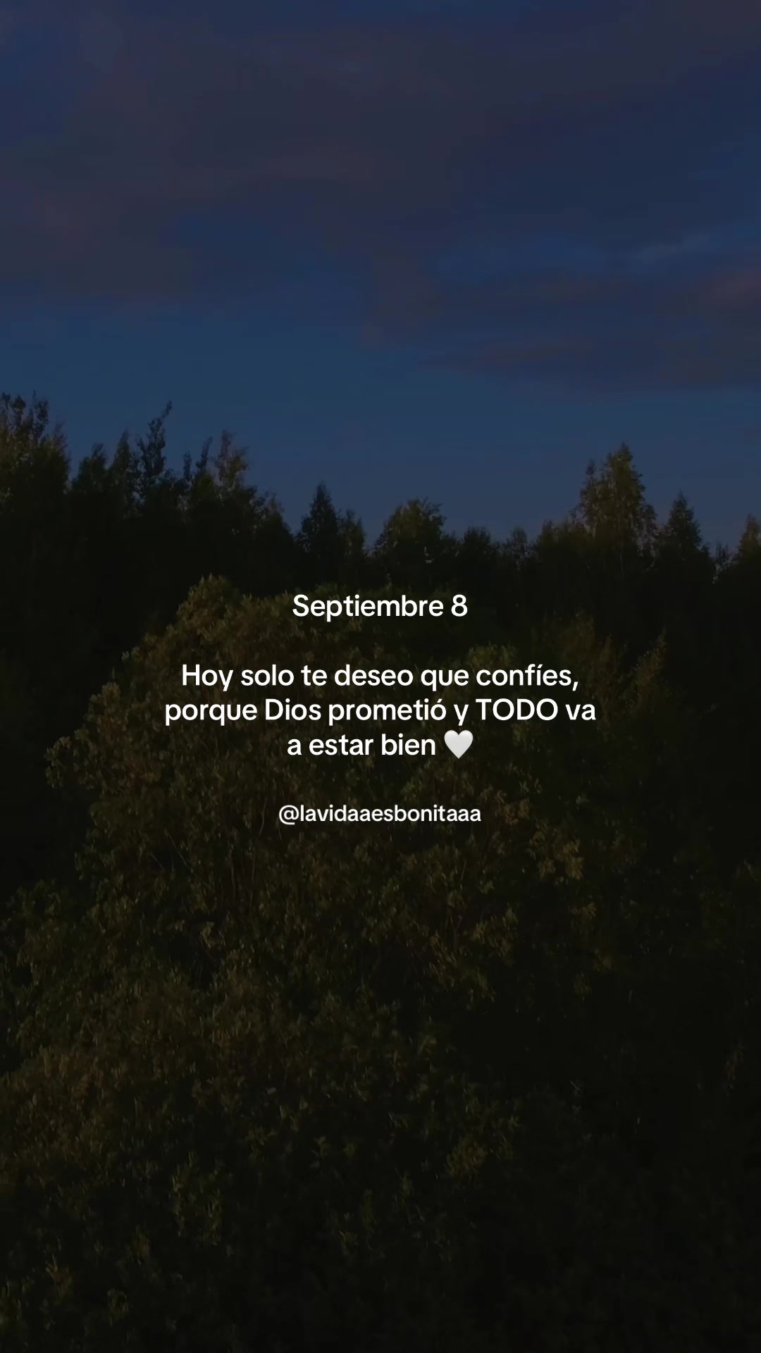 @vidabonita❤️🩹