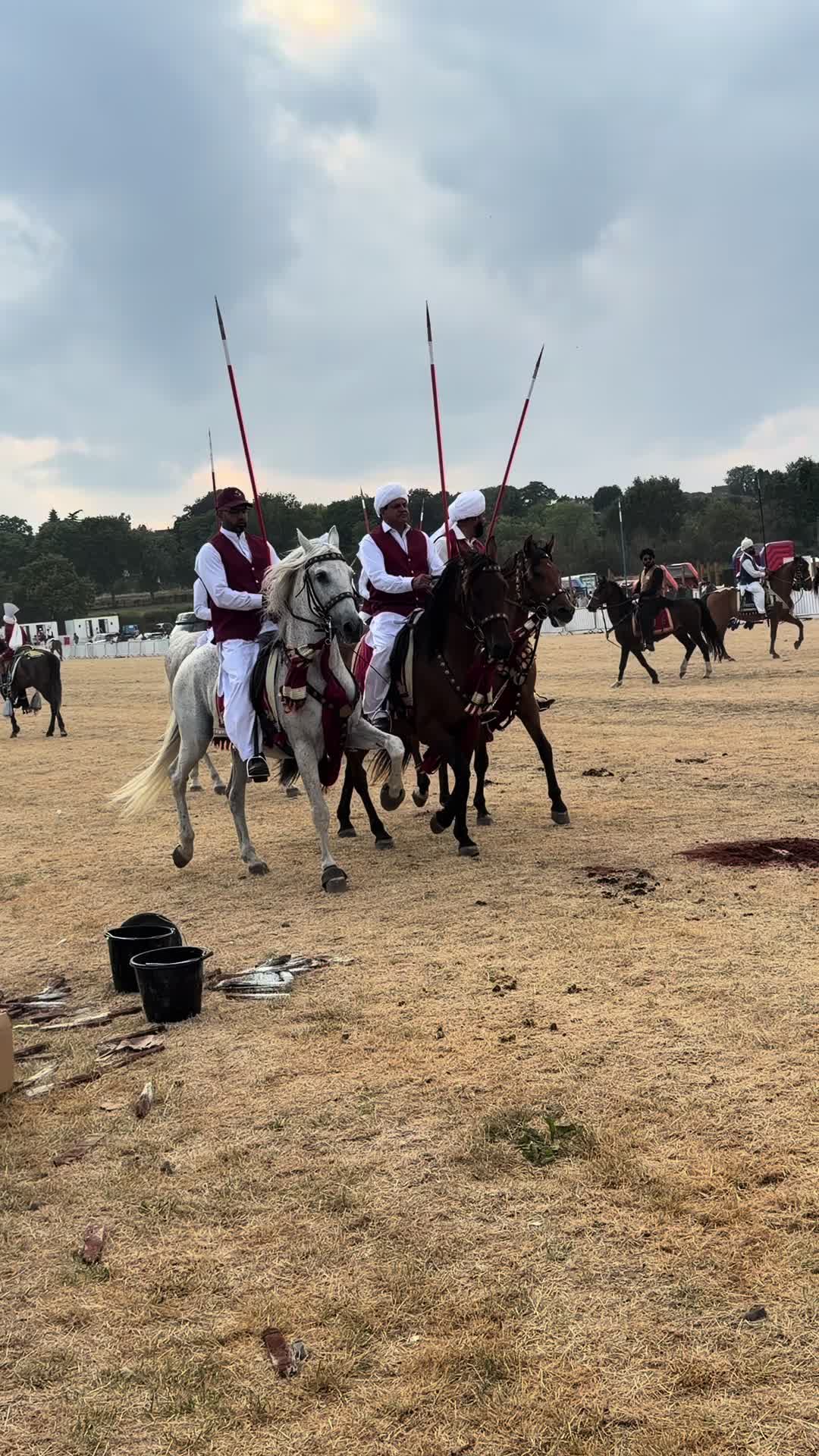 @Slough horses