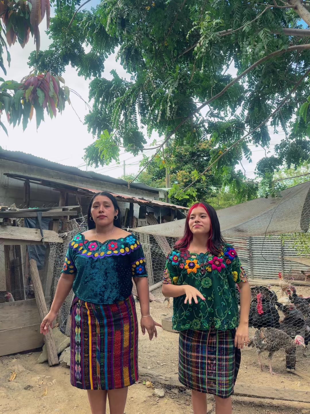 @Tradicionalbailesagradocorazón