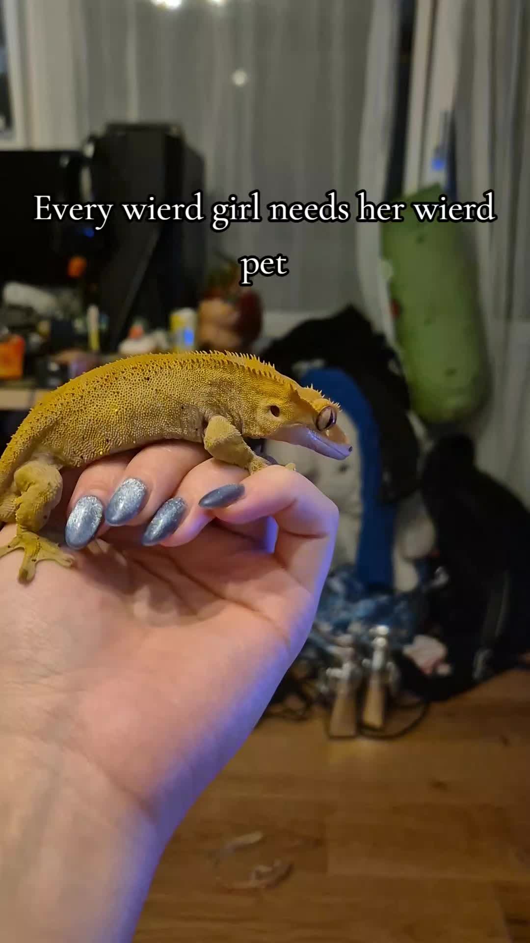 @꧁𓆩𝙼𝚊𝚢𝚛in𓆪꧂
