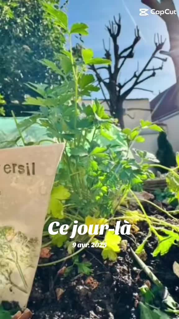 @Stéphanie Verger