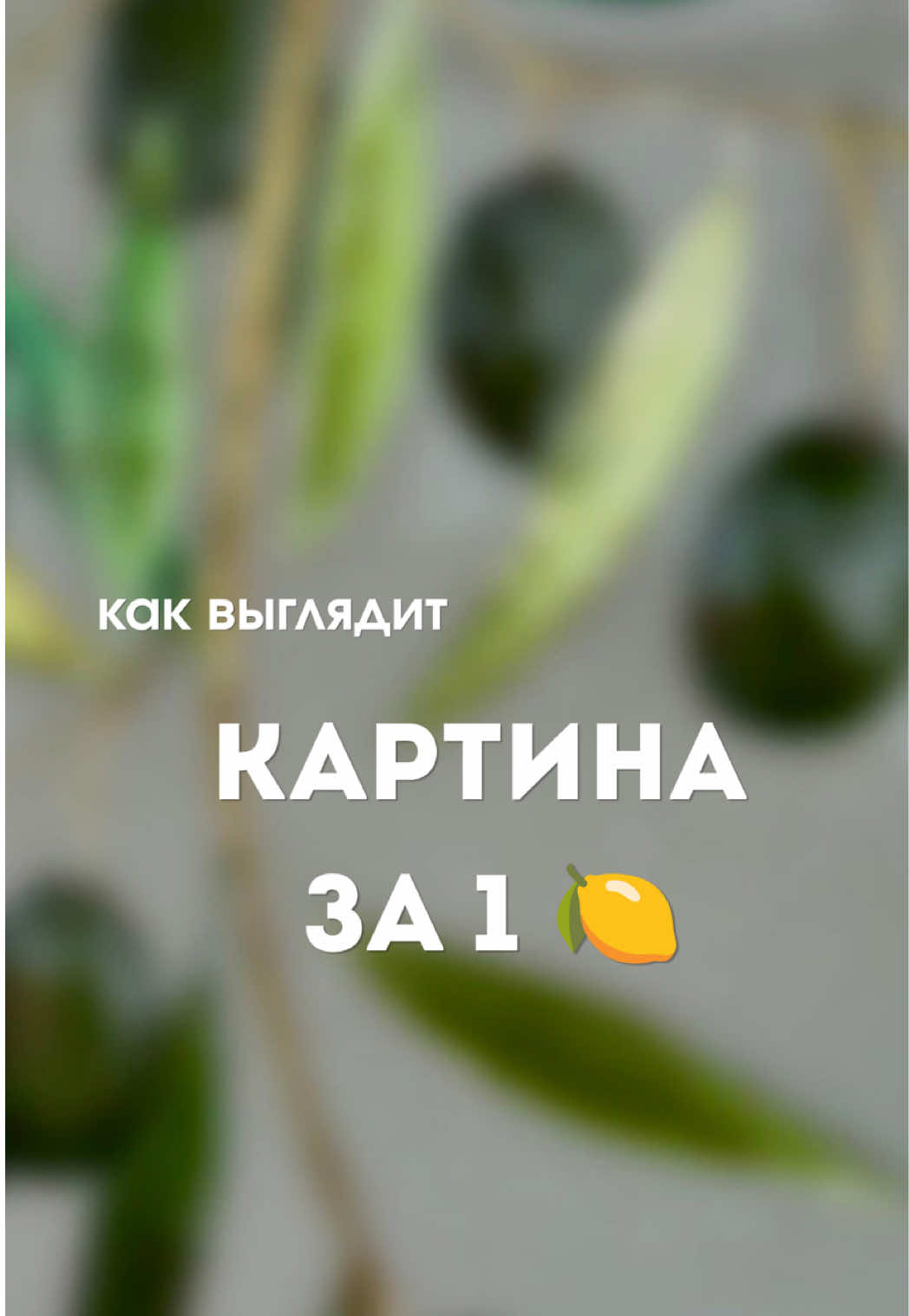 @biaskostaya_art