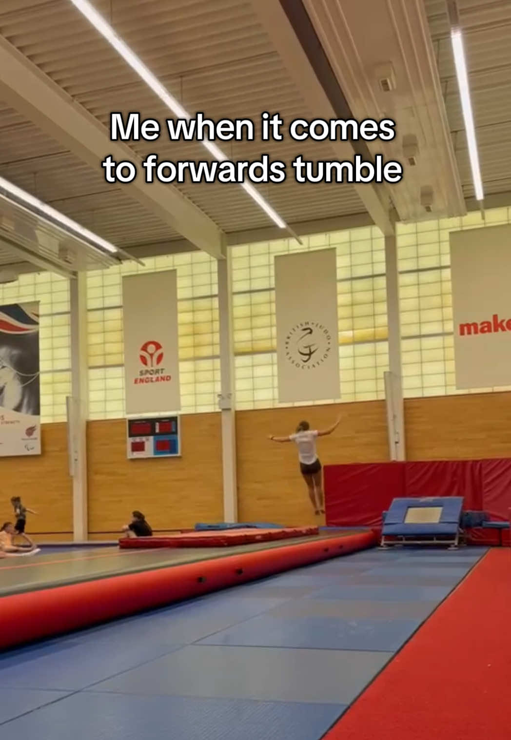 @a_gymnasts_mind