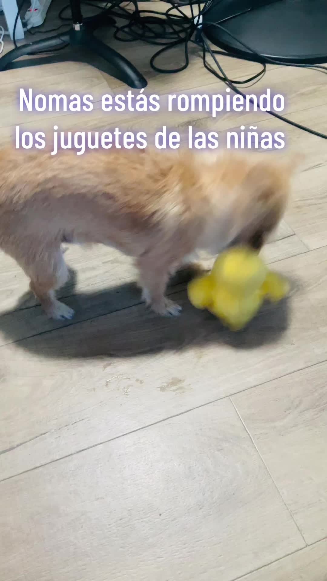 @Dany Guillén