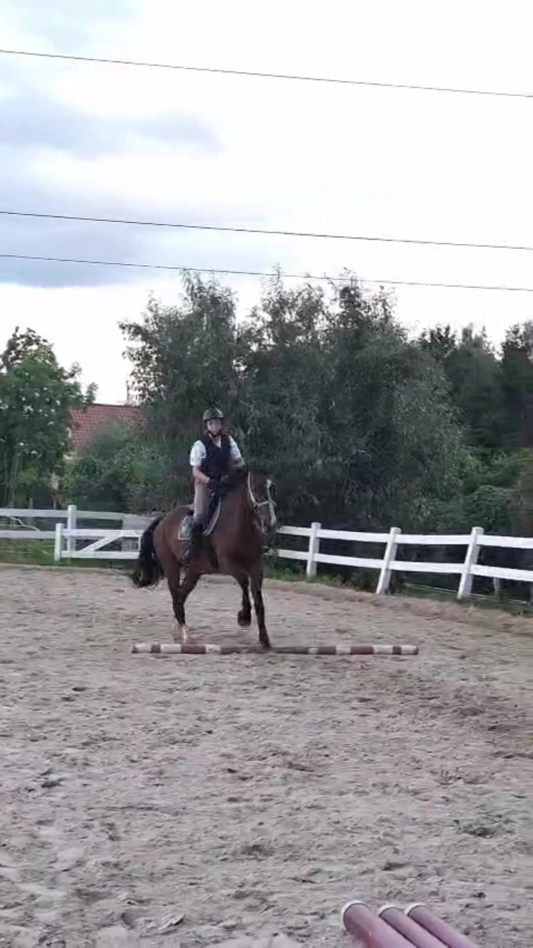 @konikzuza