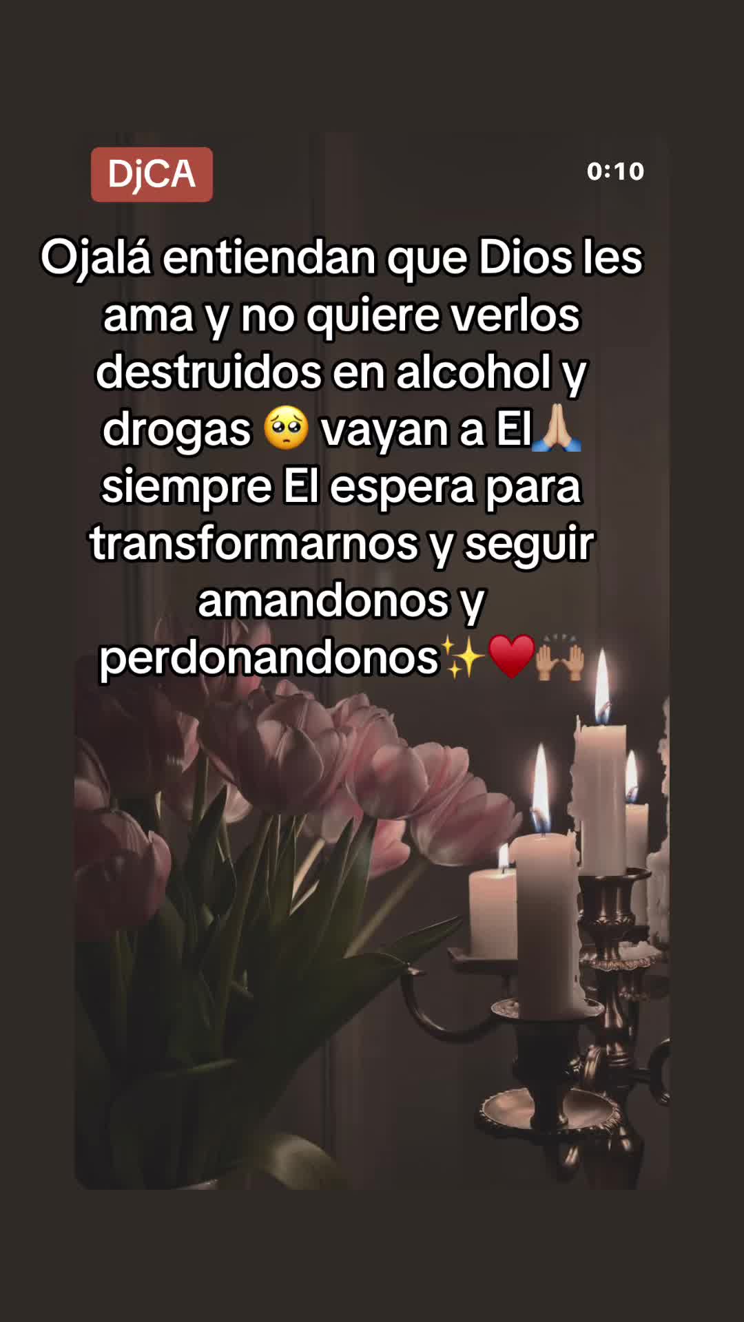 @Lioness, daughter of God🦁