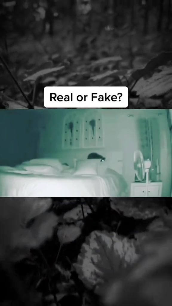@SCARYVIDEOS