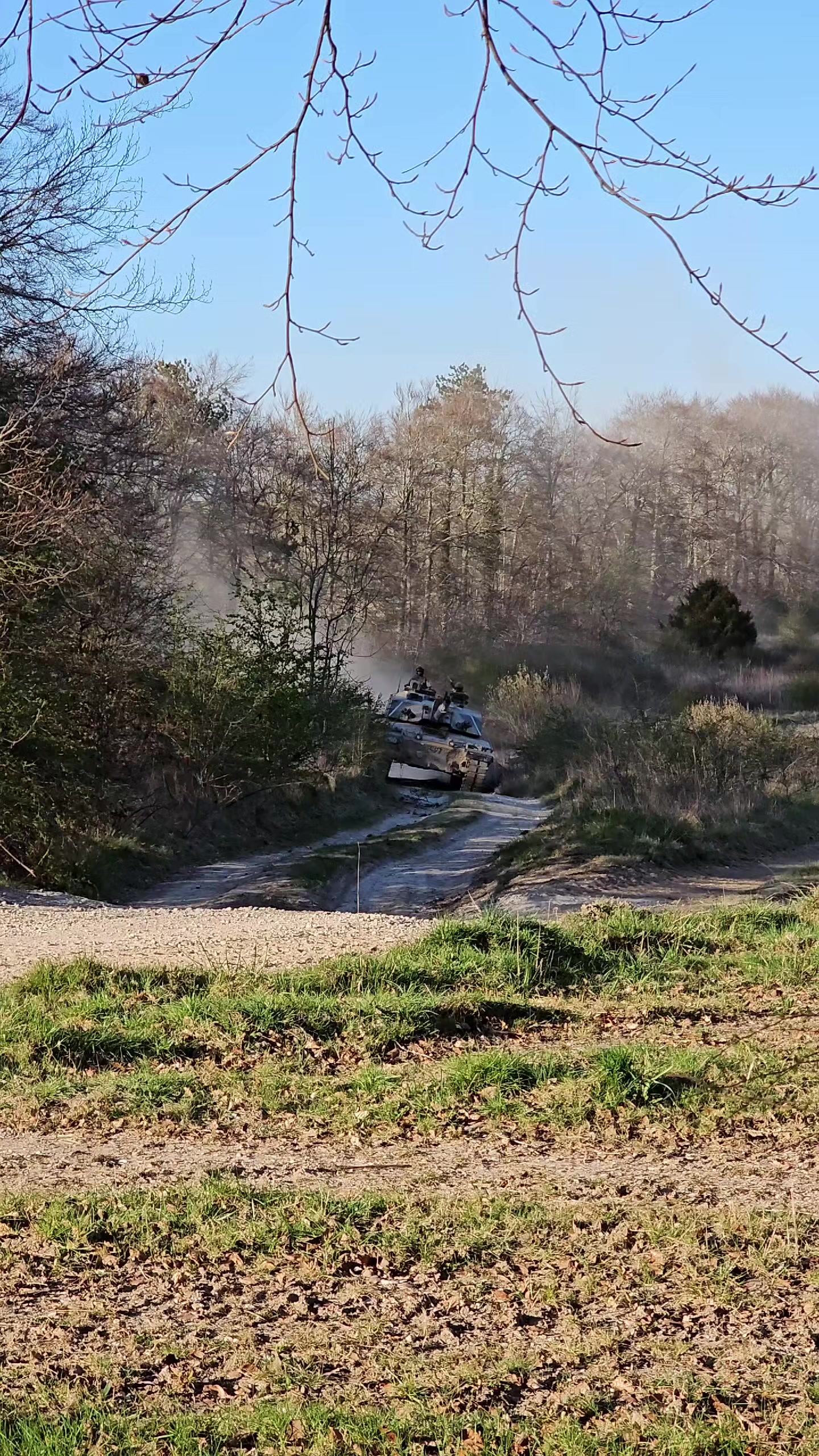 @Gotofms