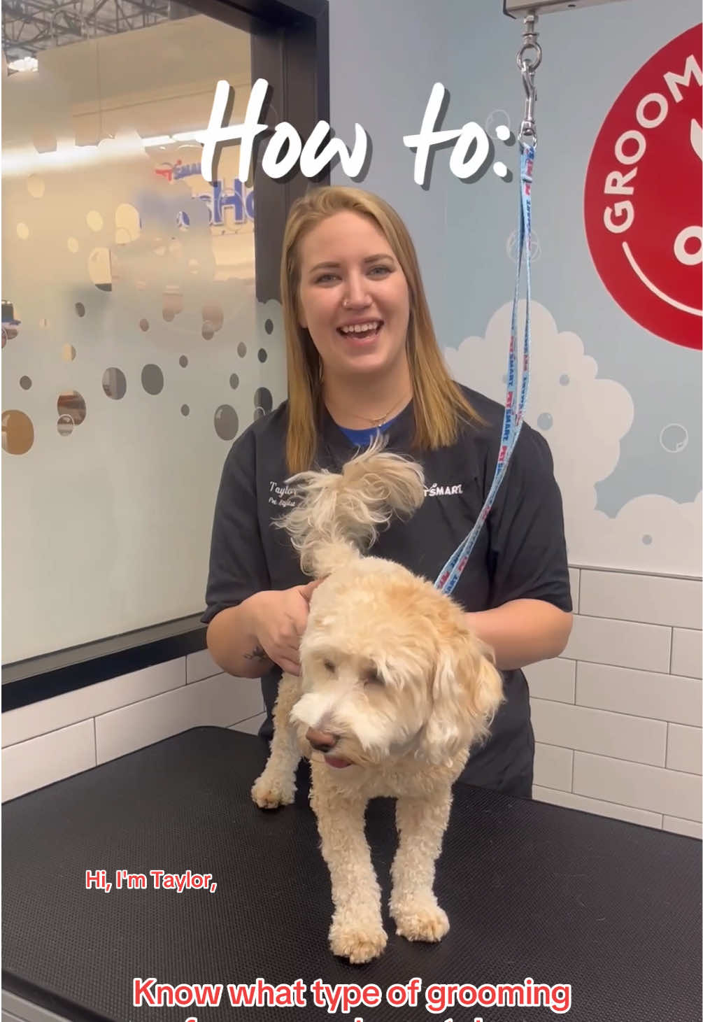 @PetSmart