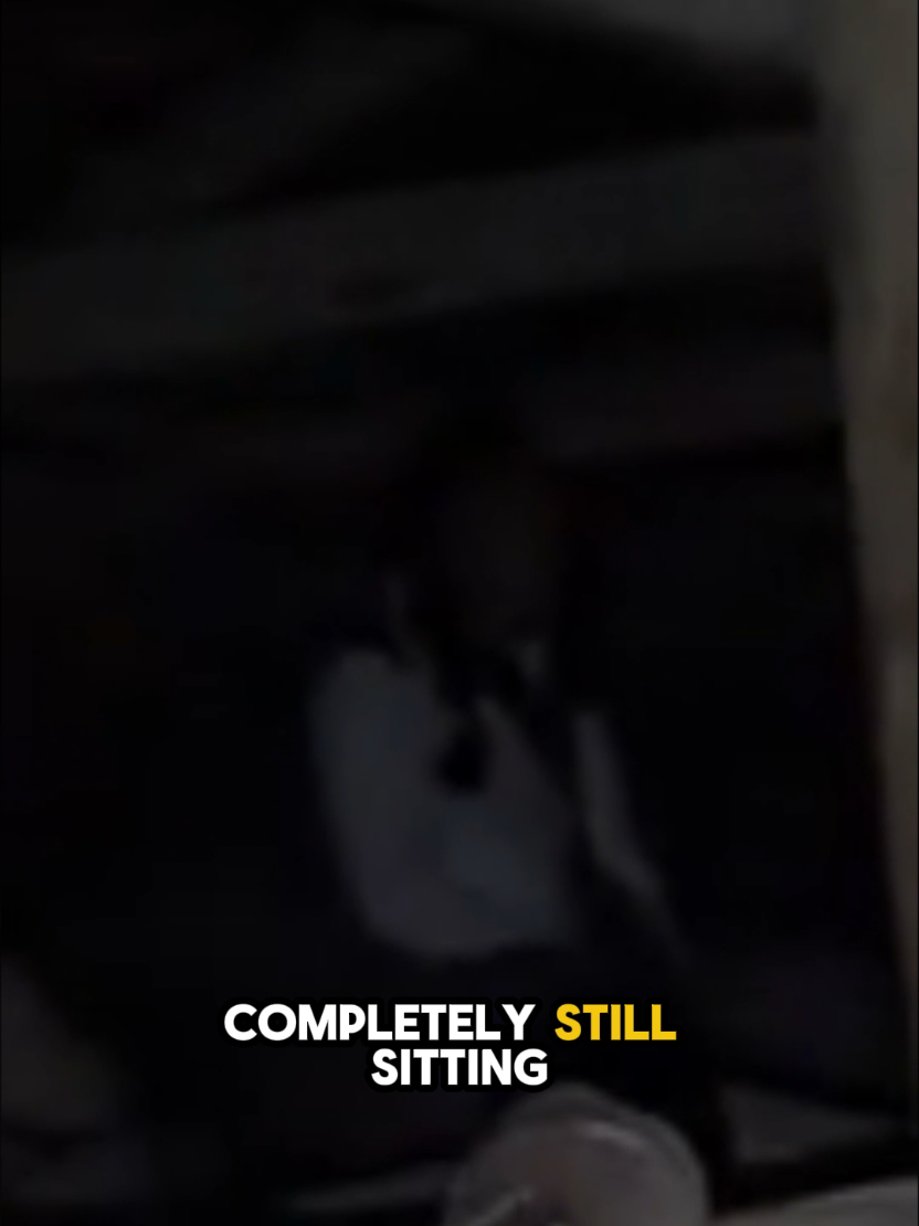 @DarkMoose