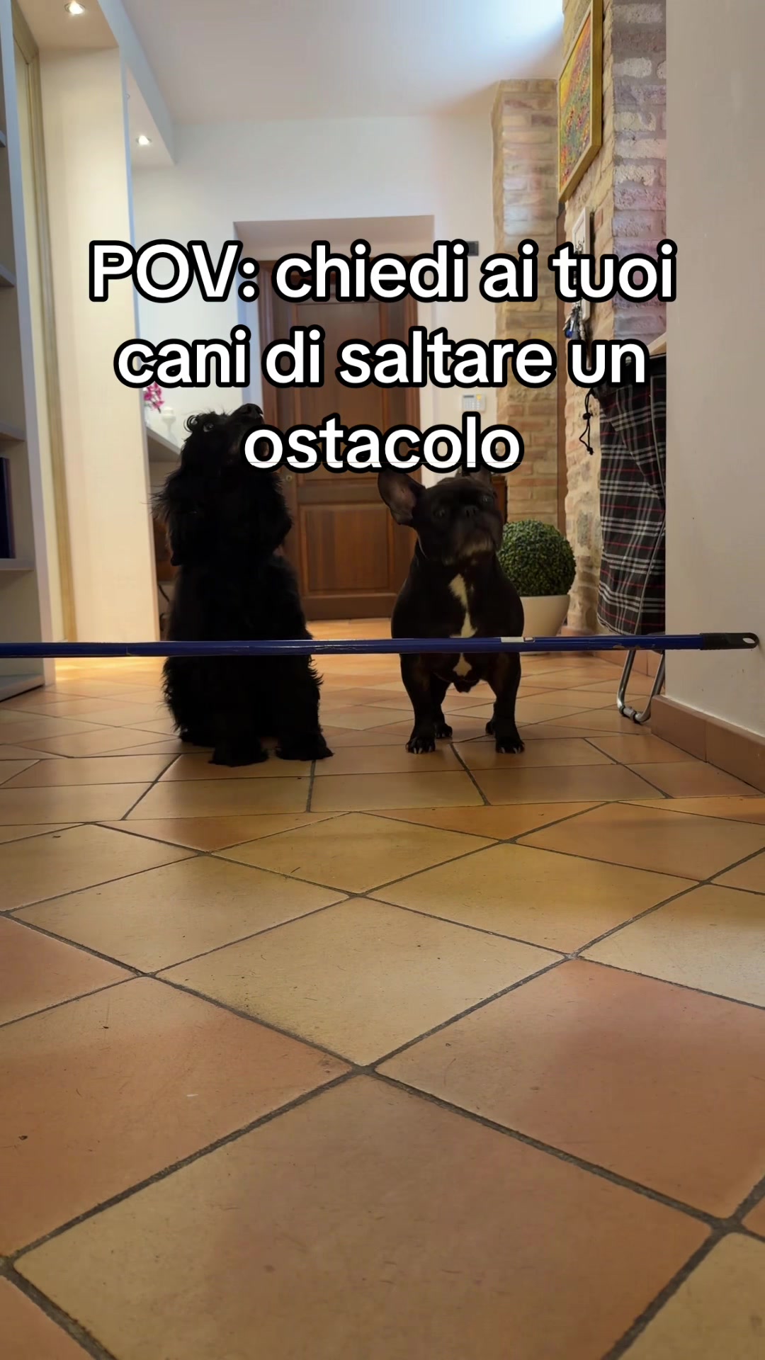 @francescabalzi_