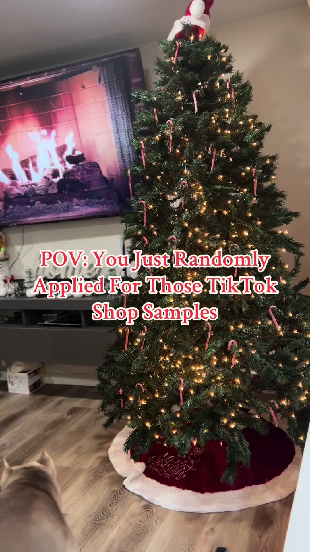 @xo.chaney