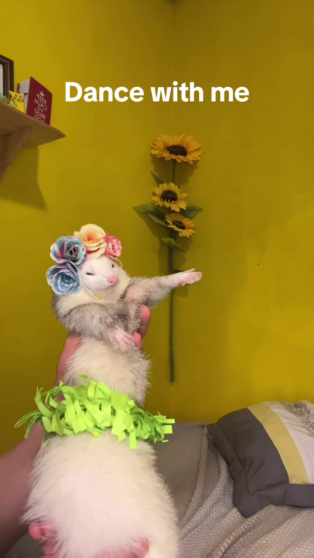 @Floofnoodles