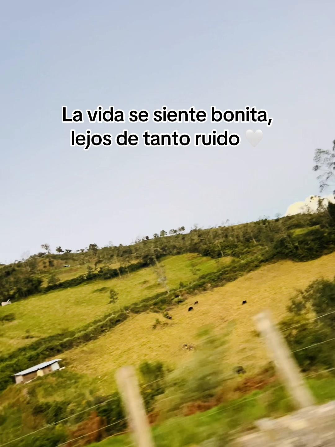 @ChinitaVela💗🐣