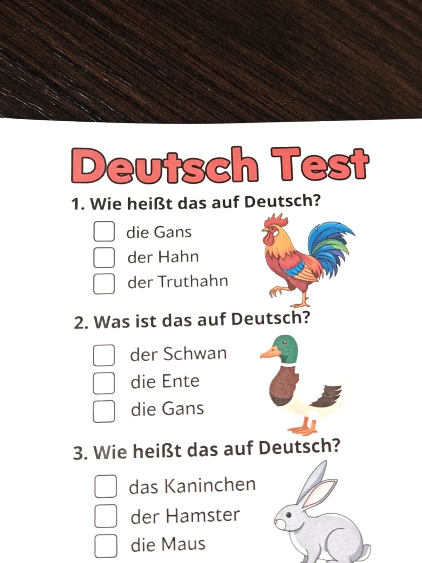 @Wissen Blitz🇩🇪