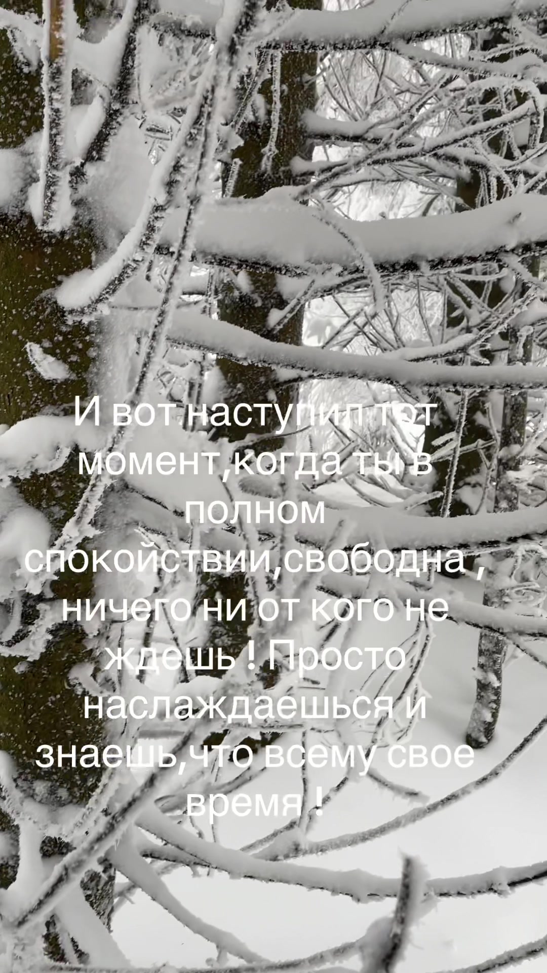 @Larysa Ehrlich🇺🇦🇩🇪
