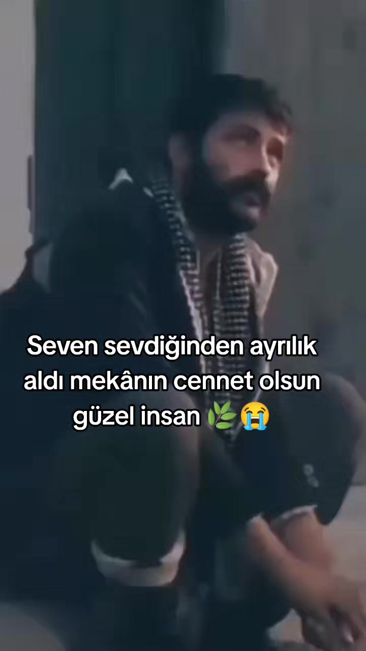 @🎲zaryld0🎲