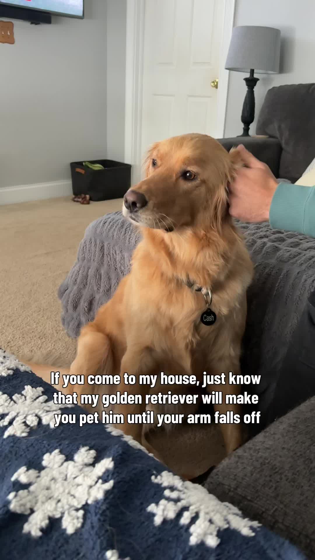 @Cash