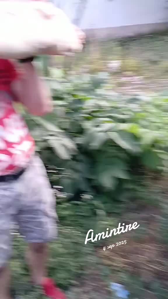 @🚍Ștefan ✅️