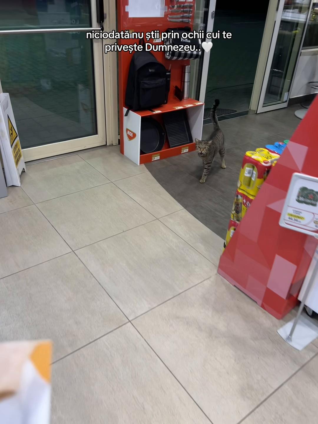 @ștefăneluuu