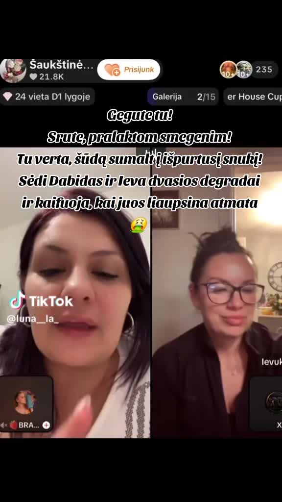 @TikTok'o gavarilka "Nuotykiai"