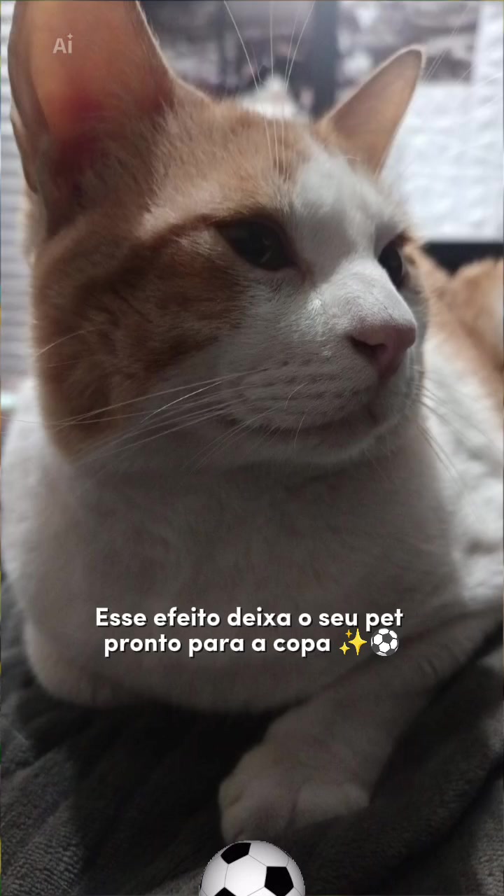 @Estilo Fucinho😻Personalizados